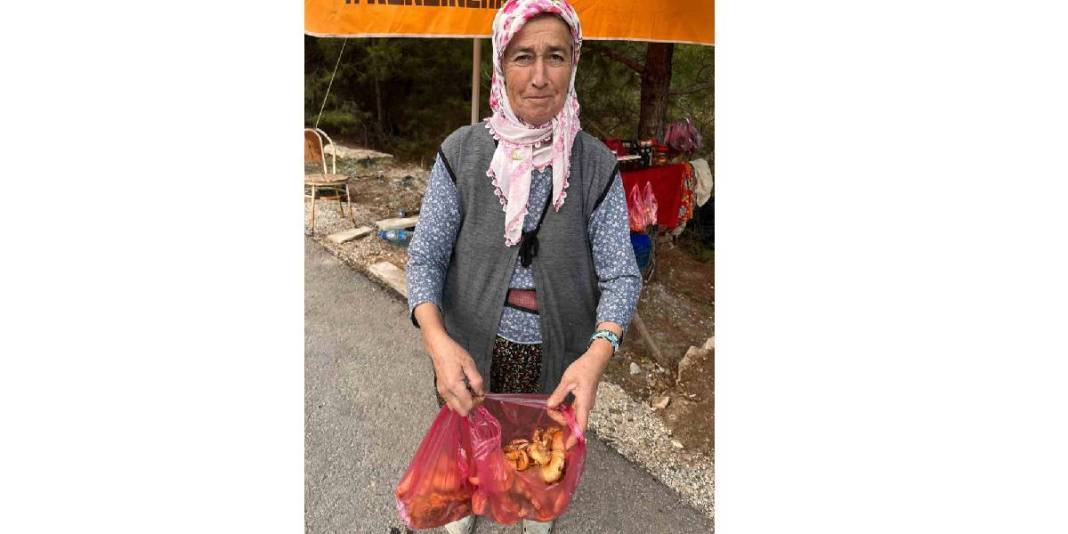 Yağışlarla birlikte topraktan bereket fışkırdı! Tezgahlar doldu taştı: Özel çıntarlar 600 liradan satılıyor 5